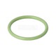 TORIC SEAL 22X2N-FPM1-70-GN
